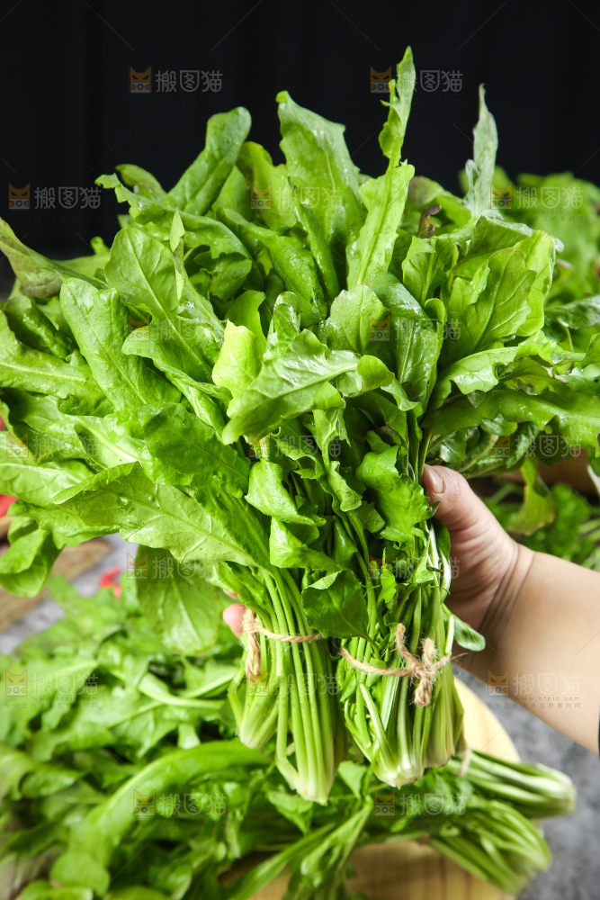 手里拿着新鲜芥菜