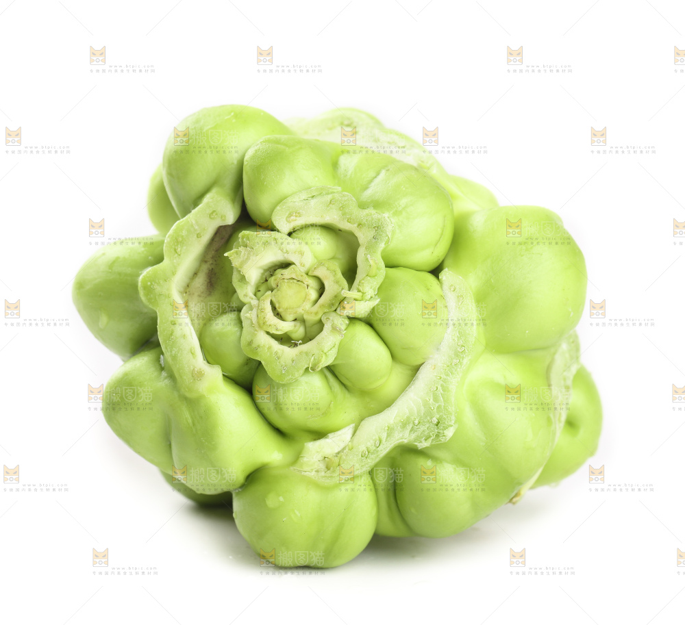 儿菜