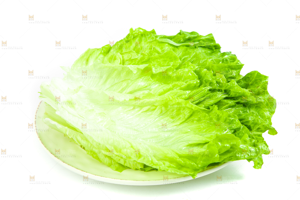 白底上的生菜