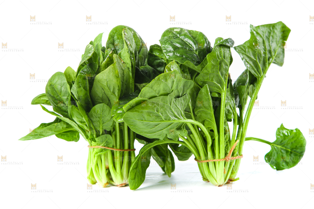 白底上放着菠菜