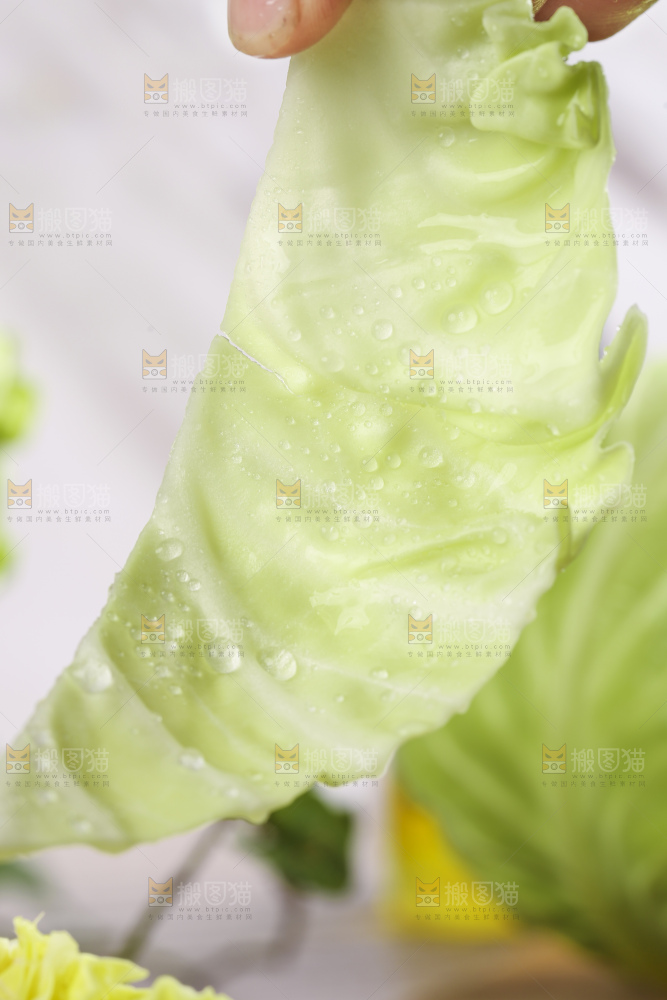 手里拿着洋白菜