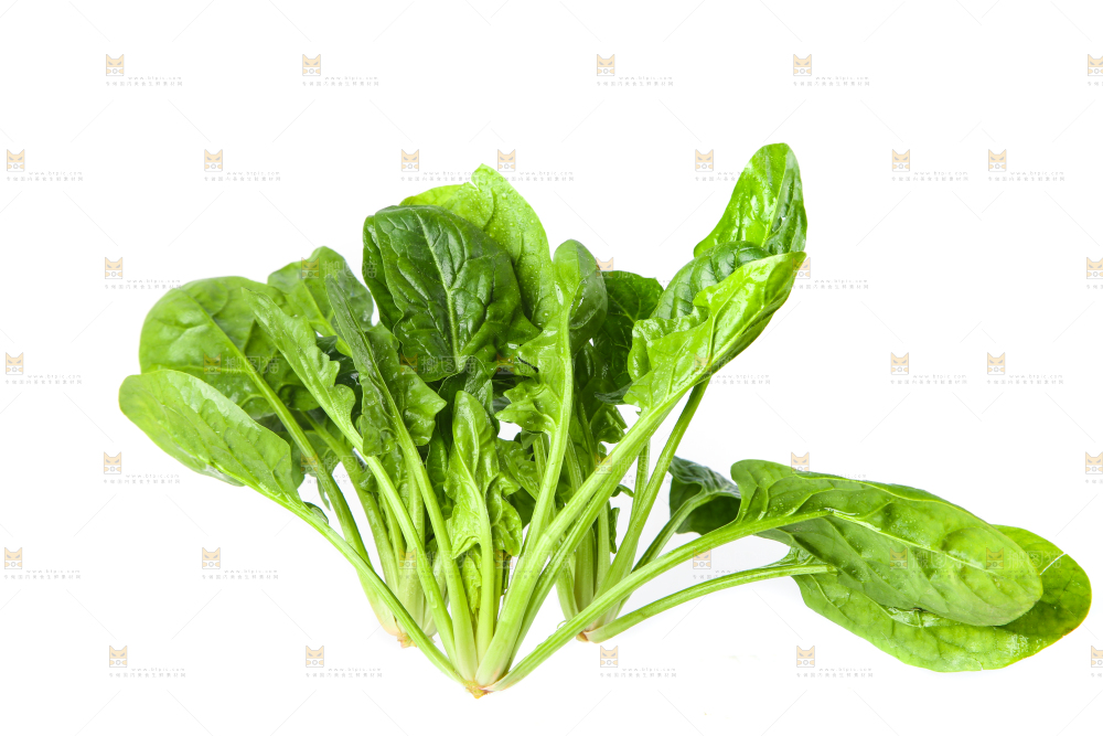白底上放着菠菜