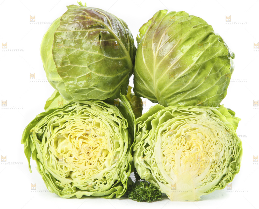 白底上的甘蓝包菜