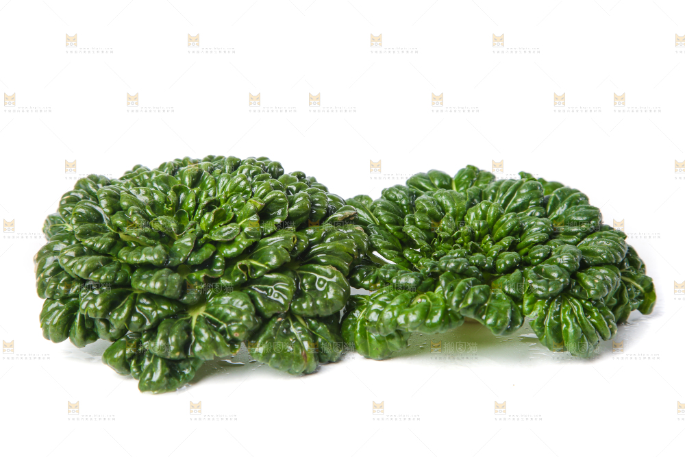 白底上的菊花菜