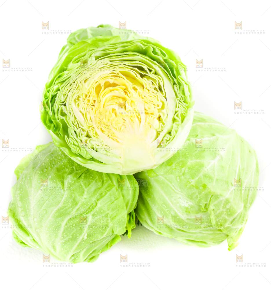 白底上摆放着包菜