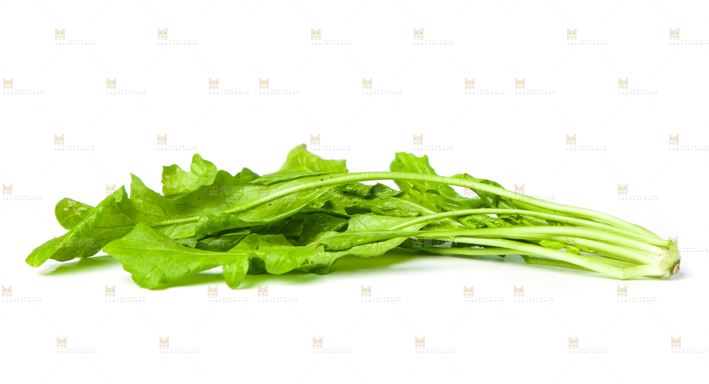 荠菜