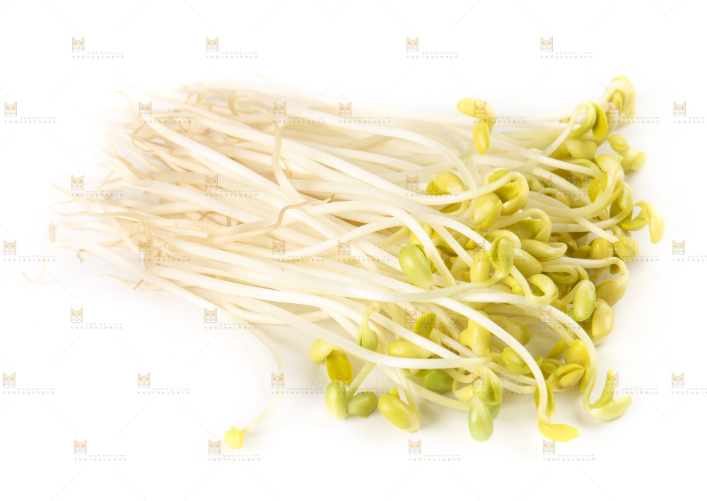 白底上的豆芽