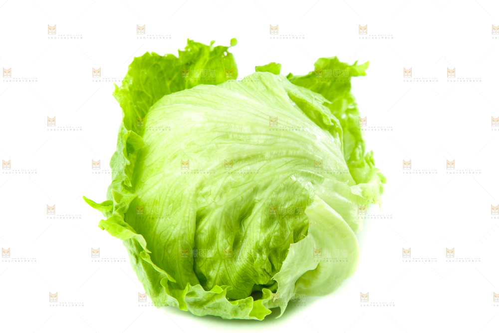 白底上的新鲜生菜