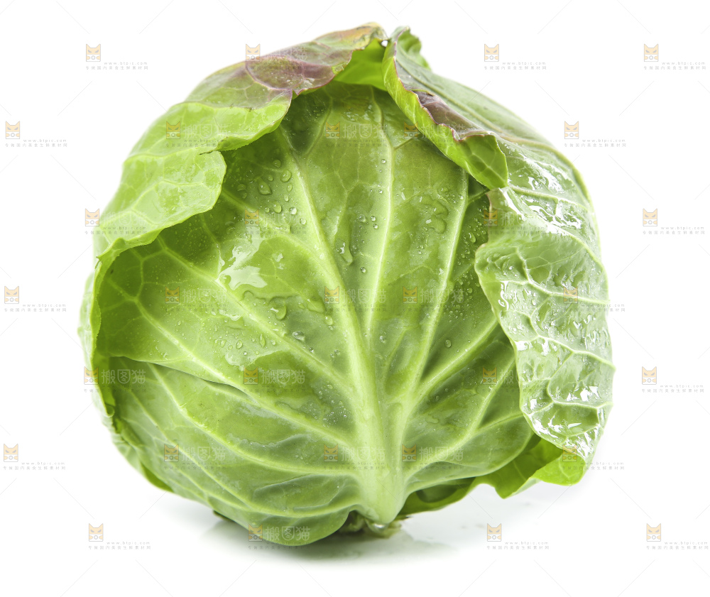 白底上的甘蓝包菜