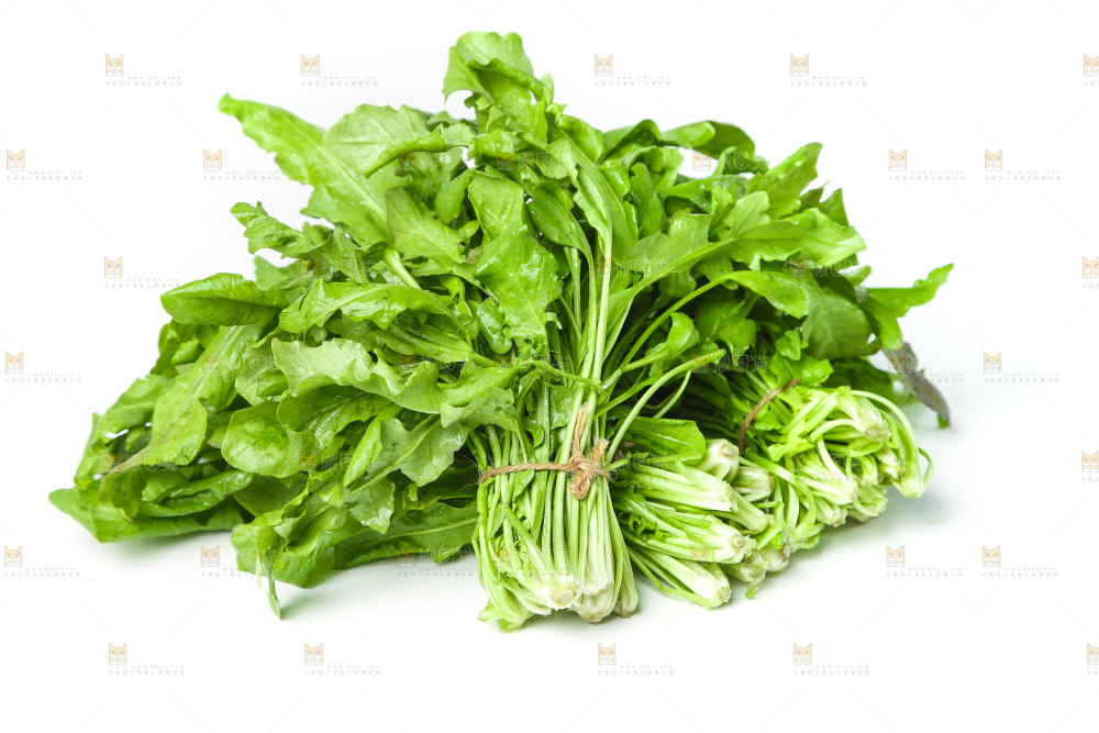 荠菜