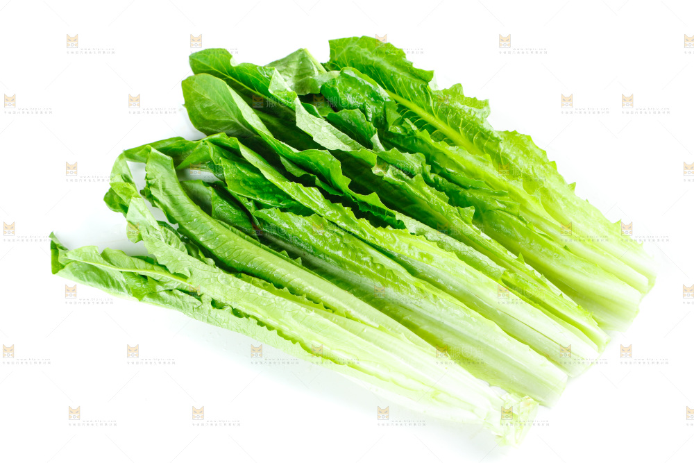 白底上放着油麦菜