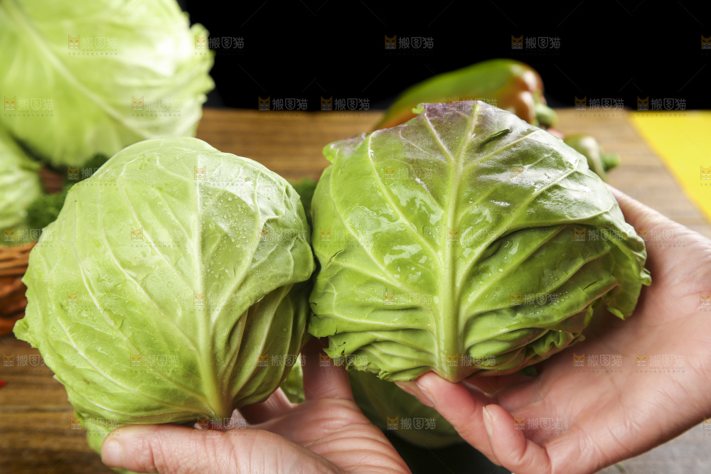 手里拿着洋白菜