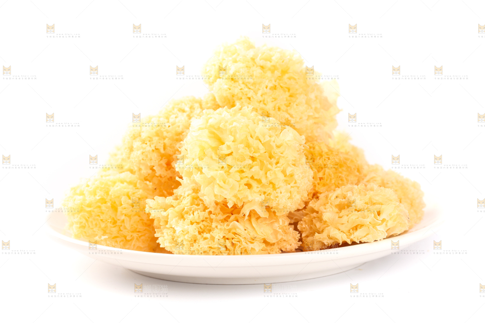 一盘雪耳放在白底上