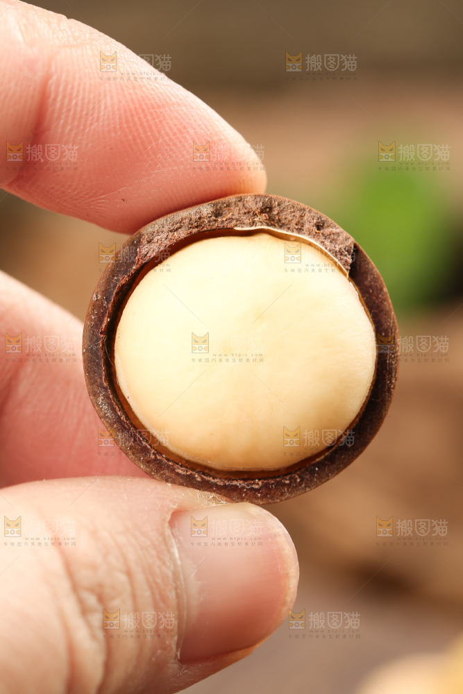 手拿夏威夷果