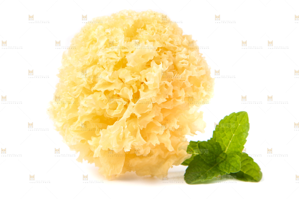 白底上的雪银耳