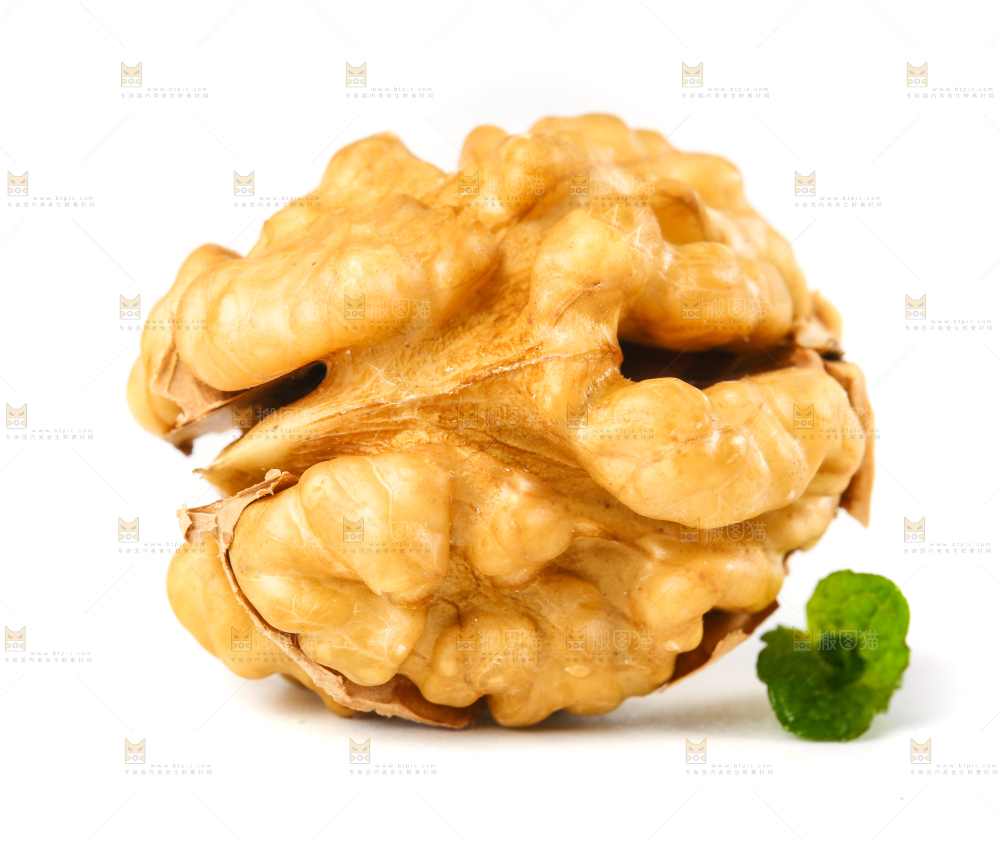 白底上的核桃仁