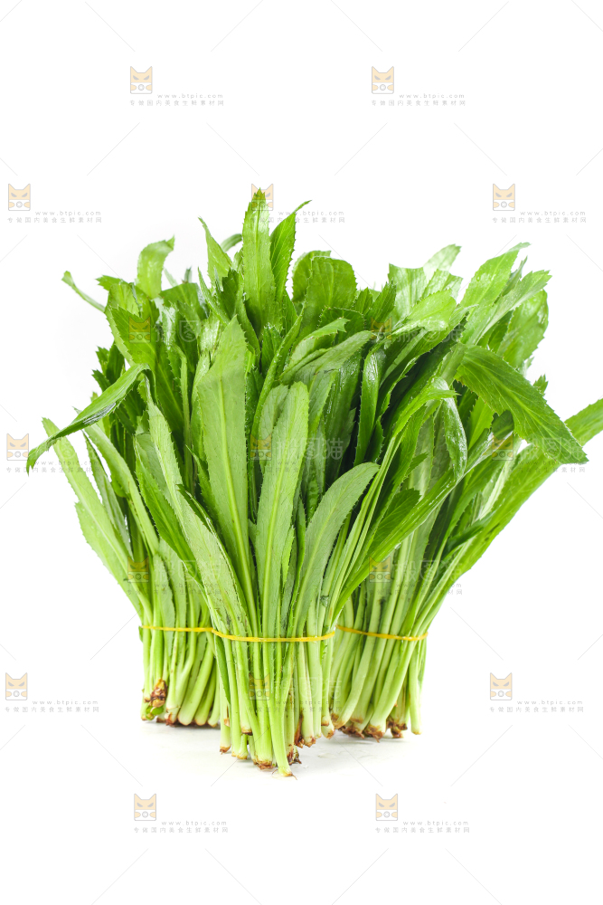 白底上的大香菜