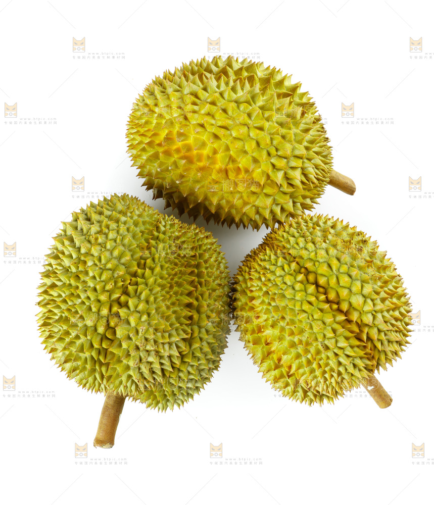 白底上的新鲜榴莲