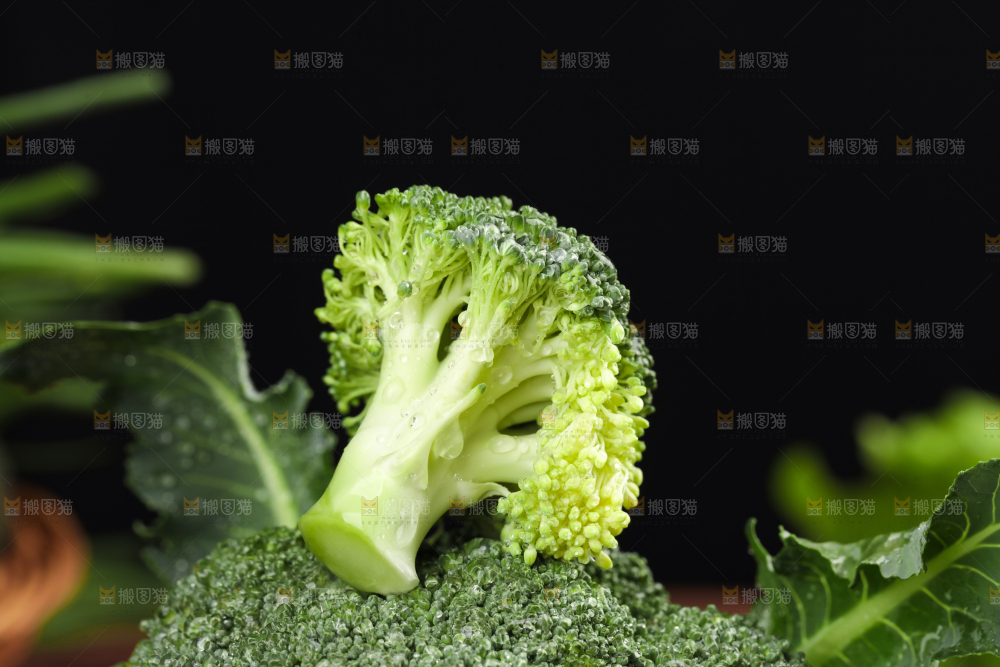 木底上的进口西兰花