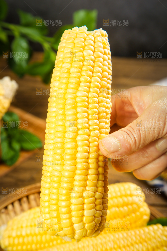 手里拿着新鲜玉米