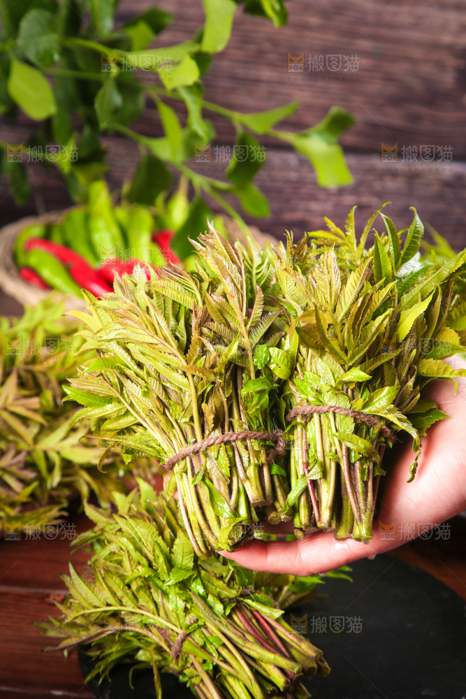 手拿香椿芽
