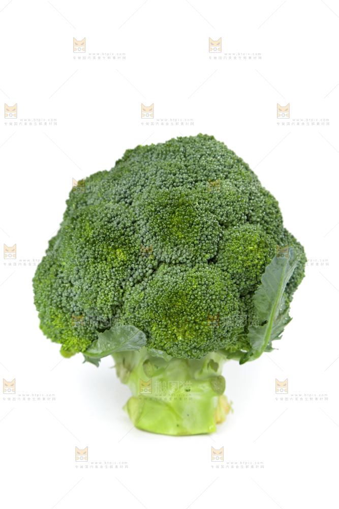 白底上的新鲜西兰花
