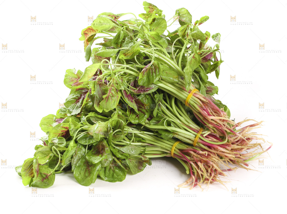 白底上的苋菜