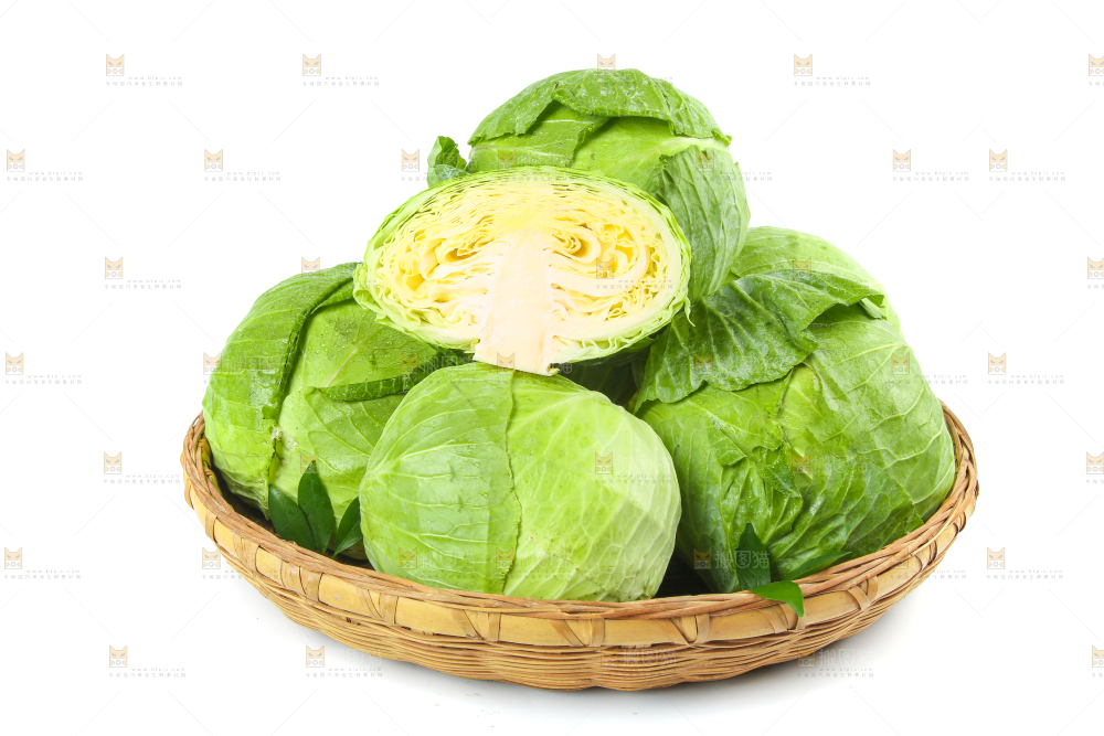 一筐新鲜包心菜放在白底上