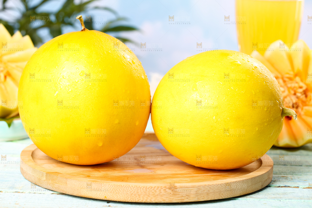 木底上的黄河密瓜