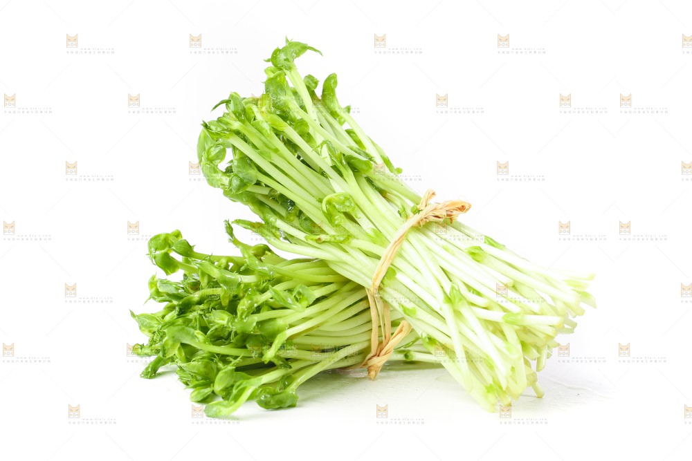 白底上放着豌豆芽菜