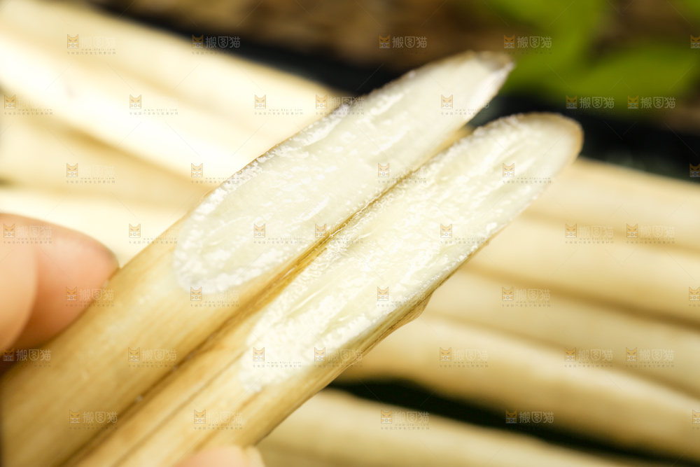 手里拿着藕苗