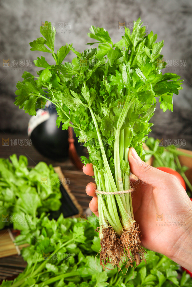 手拿新鲜芹菜