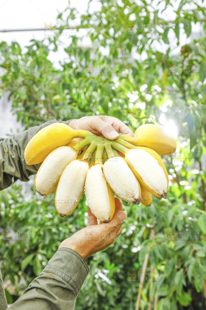 手拿剥皮的帝王蕉