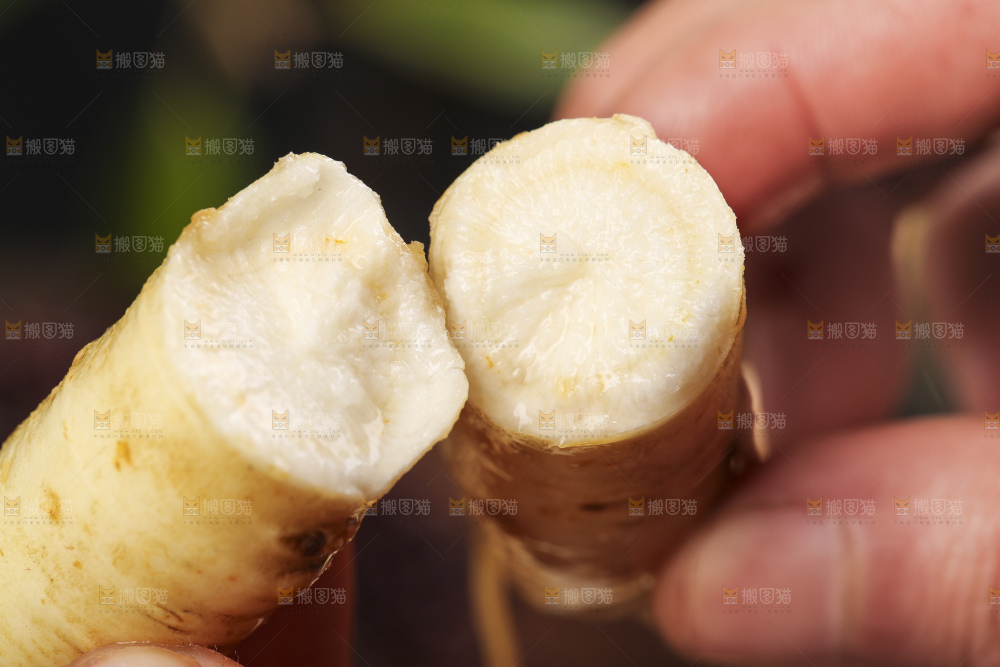 手拿掰开的人参