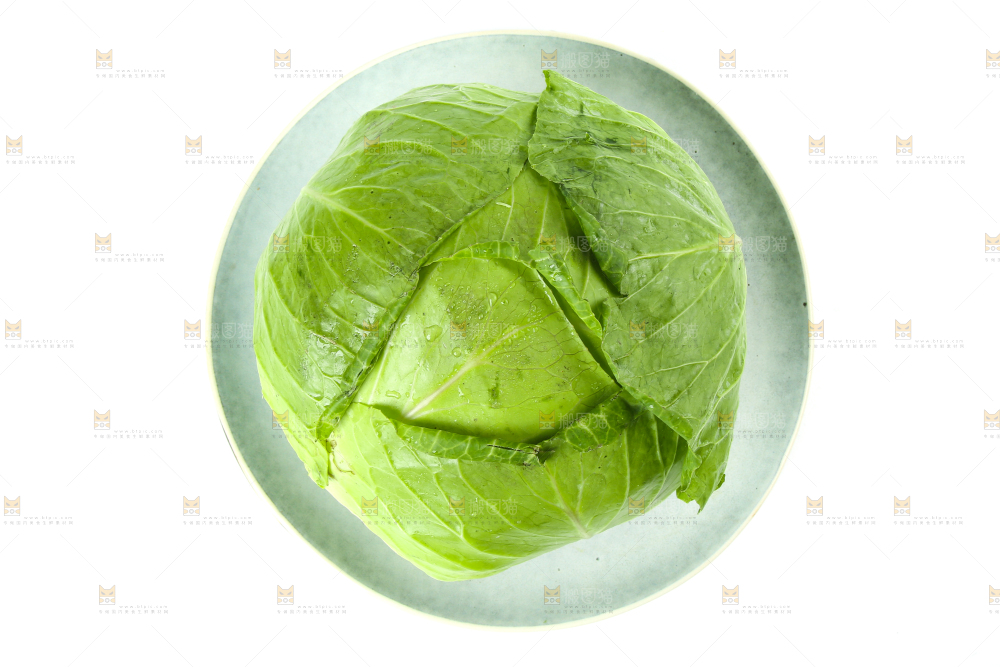 白底上放着一盘包菜