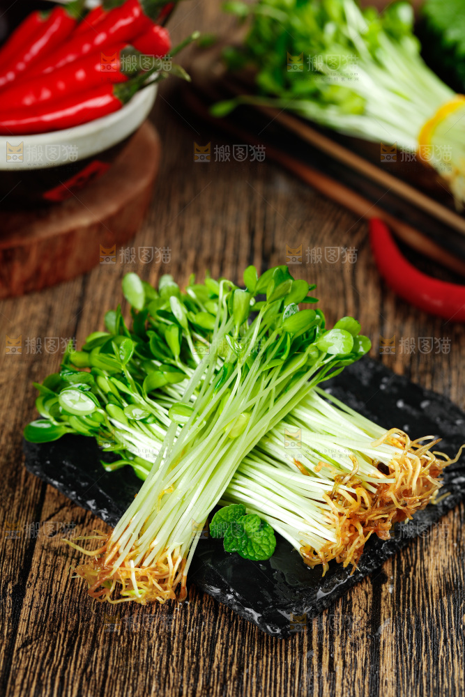 黑石板上的香椿苗