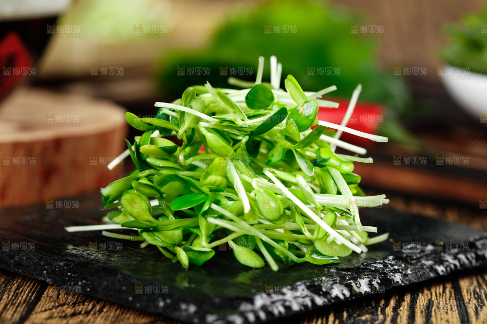 黑石板上的香椿苗