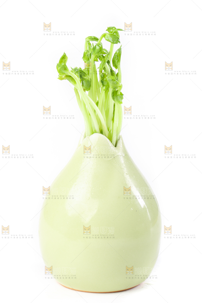 白底上放着豌豆芽菜