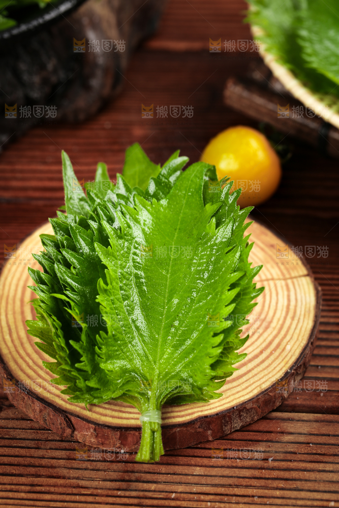 木底上的新鲜紫苏叶