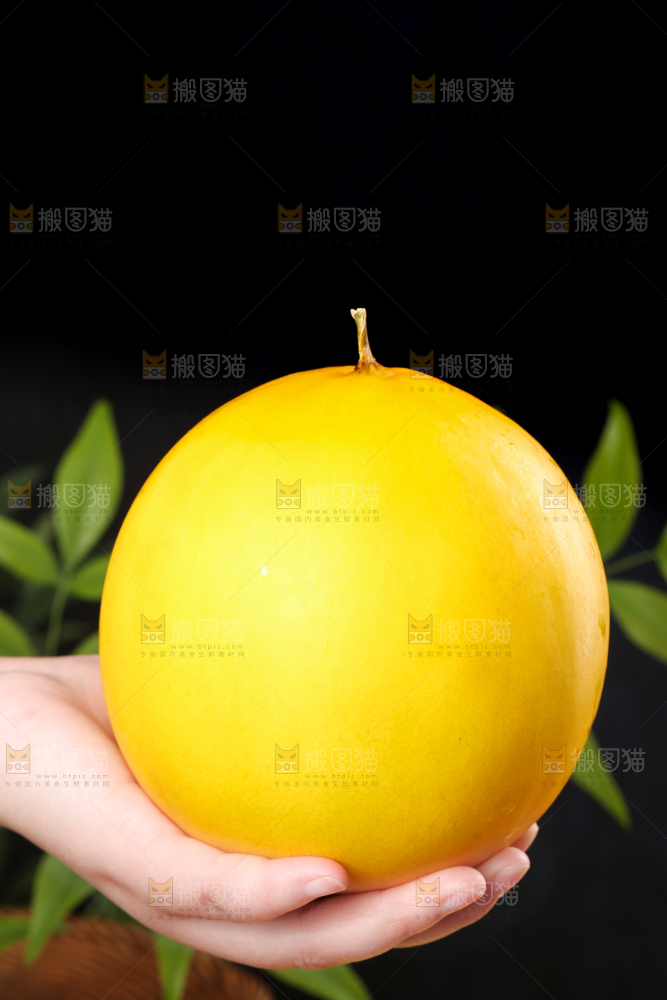 手拿新鲜的黄河蜜瓜