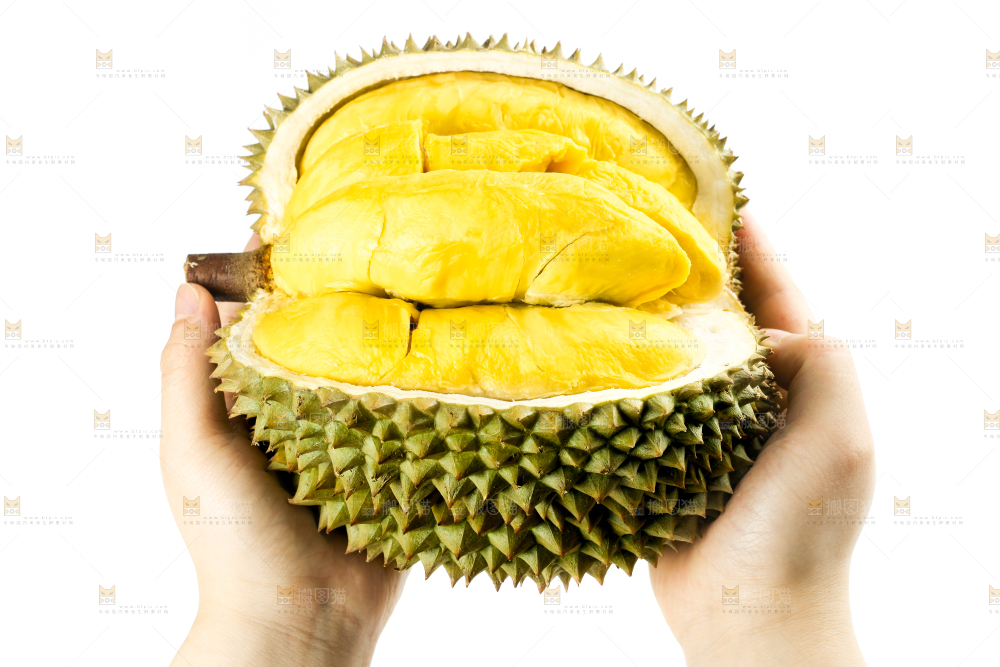 白底上摆放着甲仑榴莲