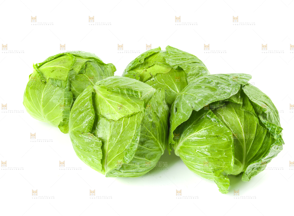 新鲜的卷心菜放在白底上