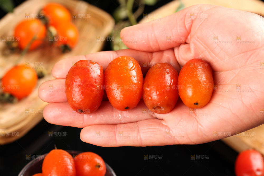 手拿新鲜羊奶果