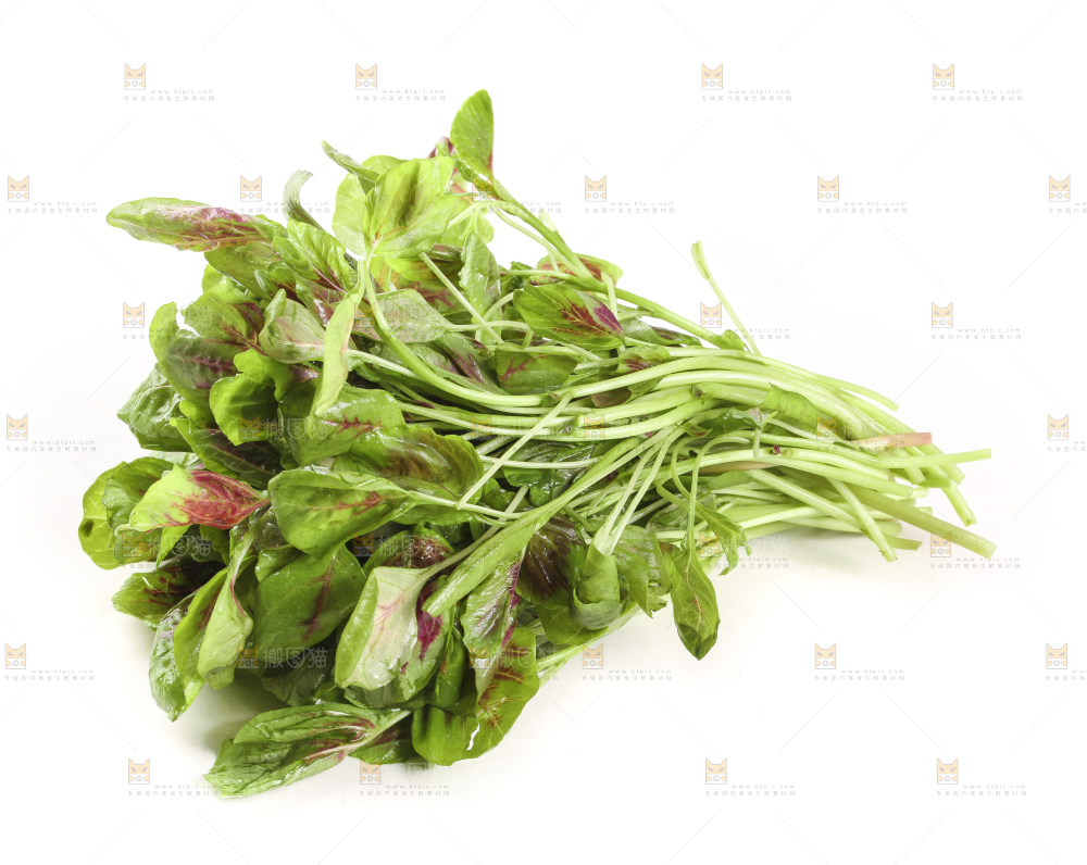 白底上的农家苋菜