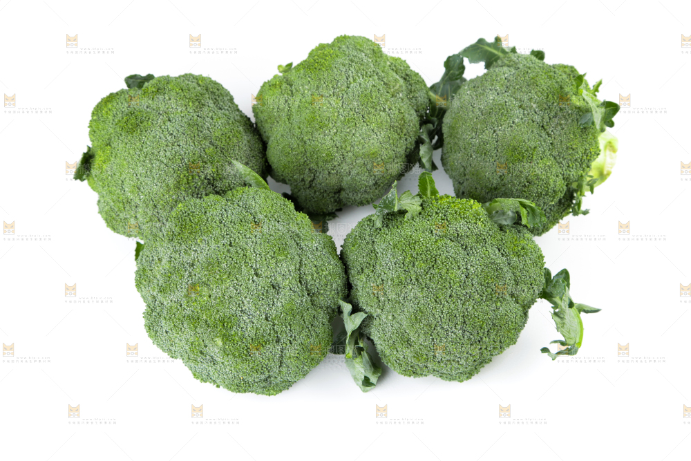 白底上的新鲜西兰花