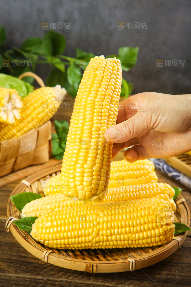 手里拿着新鲜玉米