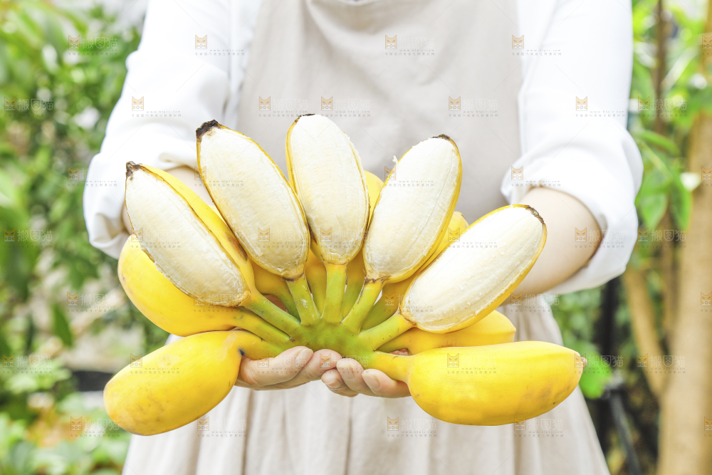 手拿剥皮的海南苹果蕉