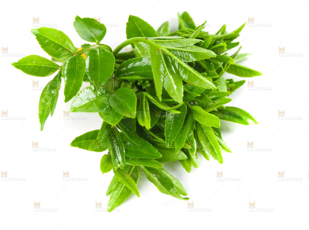 白底上放着花椒芽