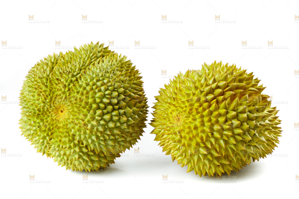 白底上的新鲜榴莲