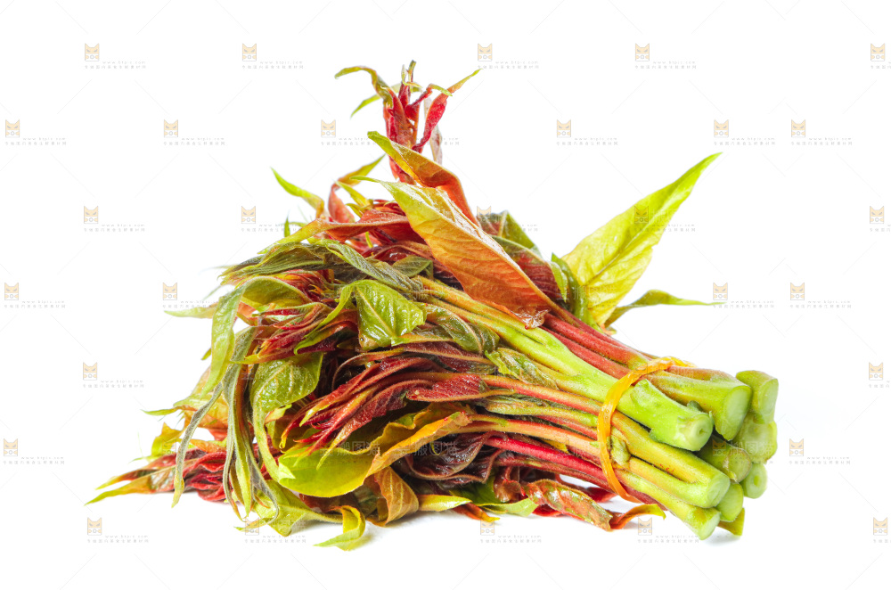 白底上的新鲜红香椿